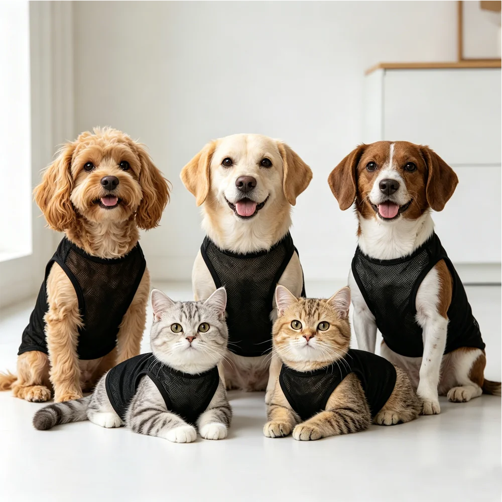 1pc Pet Breathable Mesh Vest Sleeveless Cat&Dog Summer Clothes Ultra-Light Cool Apparel for Bichon Teddy Chihuahua