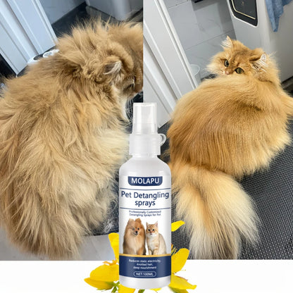 Cat and Dog Hair Tangle Prevention Spray – Leave-In Conditioner to Detangle Pet Hair. A Professional Formula Specifically Designed for Pet Grooming to Prevent Hair from Getting Tangled. This Spray Also Reduces Static Electr