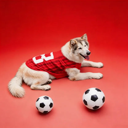 Pawzio™ 2026 Match Day Pet Jersey | Breathable Football Shirt for Dogs & Cats