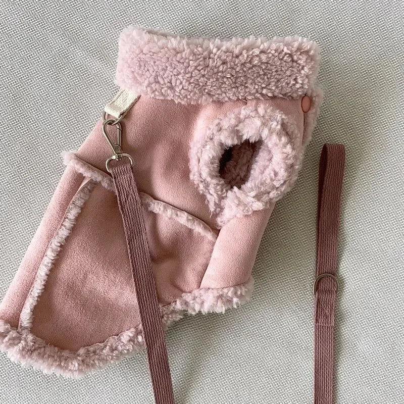 Luxury Dog Coat for Small Dogs – Soft Winter Pet Jacket & Designer Outfit | Pawzio