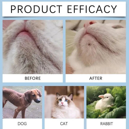 30g Pet Chin Cleaner Blackhead Cleaning Lotion Pet Chin Acne Care Brush Grooming Supplies Tooth Stain Remover For Dogs Cats