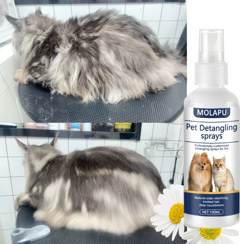 Cat and Dog Hair Tangle Prevention Spray – Leave-In Conditioner to Detangle Pet Hair. A Professional Formula Specifically Designed for Pet Grooming to Prevent Hair from Getting Tangled. This Spray Also Reduces Static Electr
