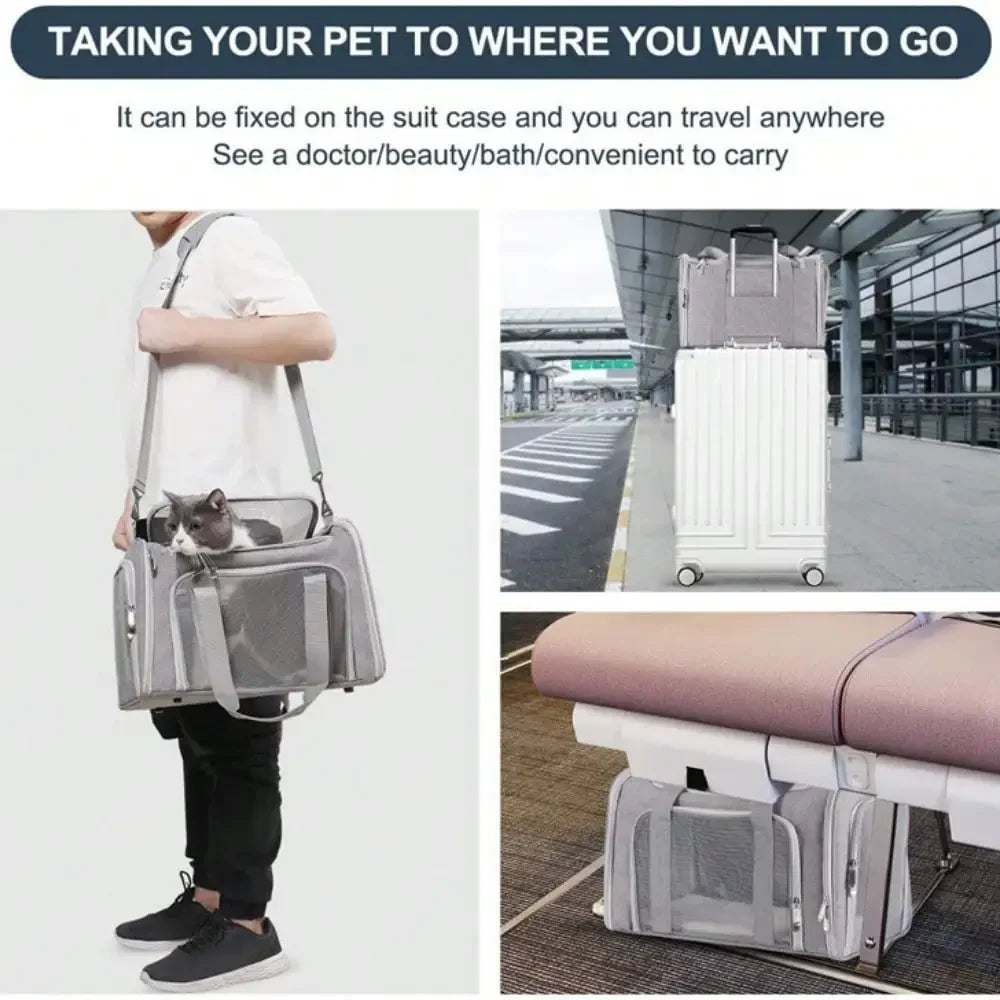 Cat Carrier Dog Carrier Portable Pet Carrier Soft Sided, Medium Small, Foldable Bunny Puppy Cat weighing 3-6kg for Travel(Grey)