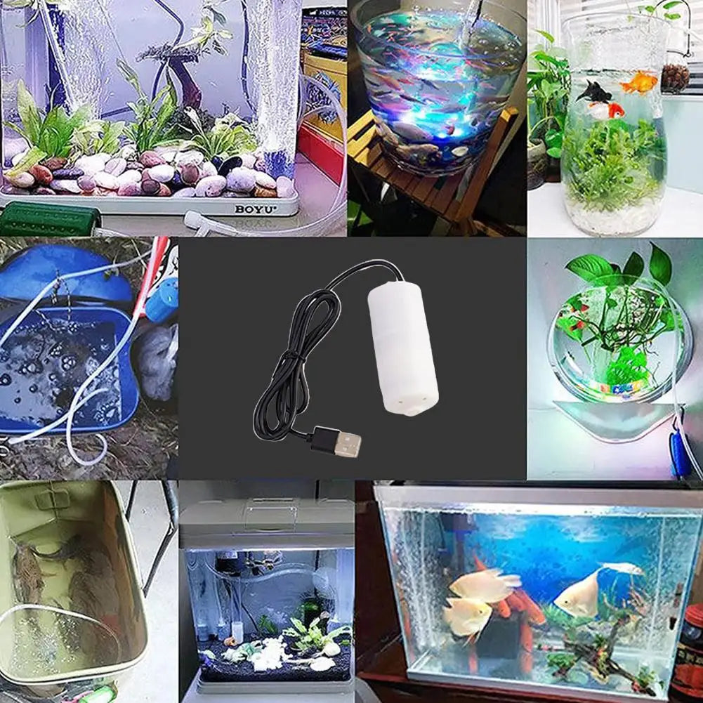 Silent Oxygenator Small Oxygen Pump Portable Mini USB Charging Fish Tank Oxygen Pump Fish Farming Aquarium Supplies